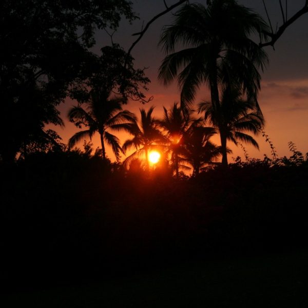 00 1 Puesta de sol (Medium)