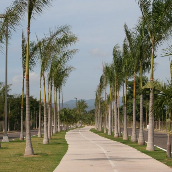 12 acceso x delta2 (Medium)