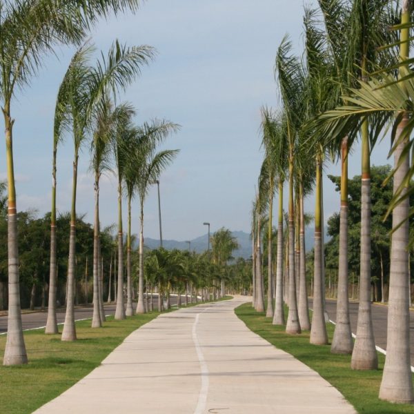 14 acceso x delta2 (Medium)