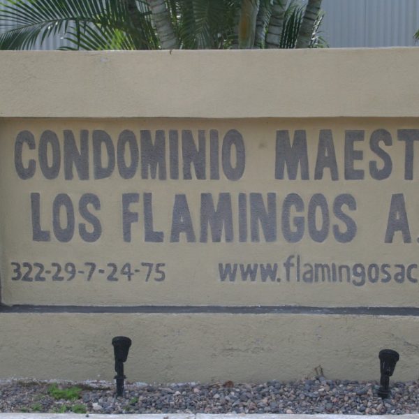 27 acceso x delta2 (Medium)